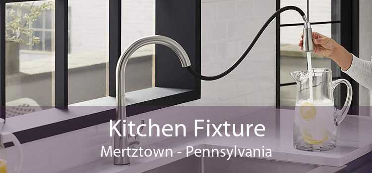 Kitchen Fixture Mertztown - Pennsylvania
