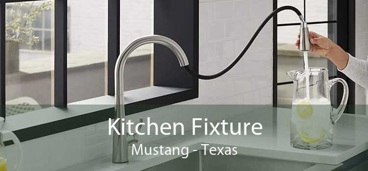 Kitchen Fixture Mustang - Texas