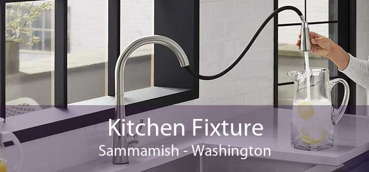 Kitchen Fixture Sammamish - Washington