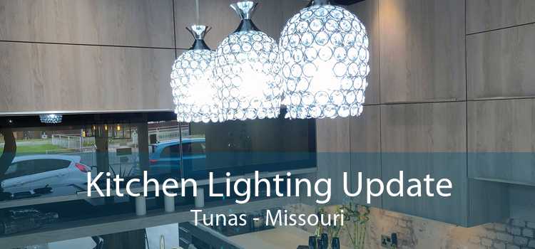 Kitchen Lighting Update Tunas - Missouri