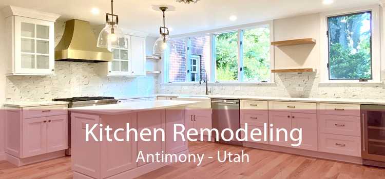Kitchen Remodeling Antimony - Utah