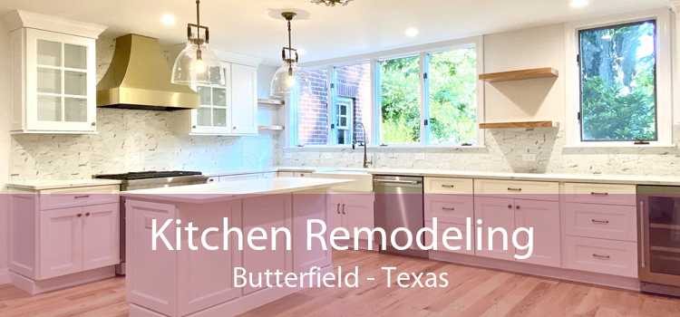 Kitchen Remodeling Butterfield - Texas