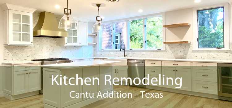 Kitchen Remodeling Cantu Addition - Texas