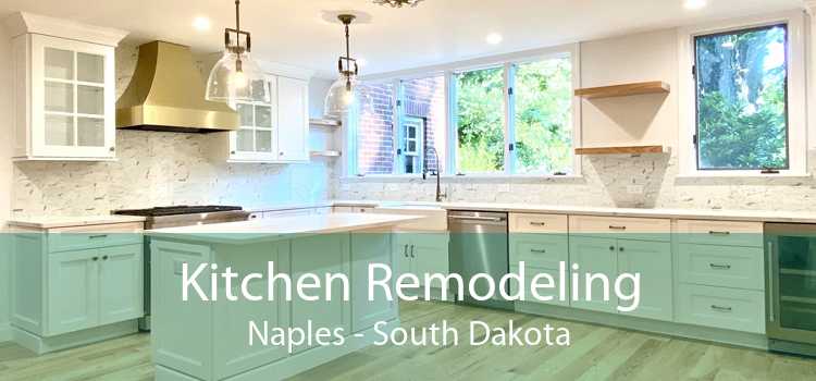Kitchen Remodeling Naples - South Dakota
