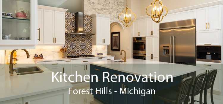 Kitchen Renovation Forest Hills - Michigan