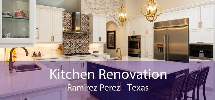 Kitchen Renovation Ramirez Perez - Texas