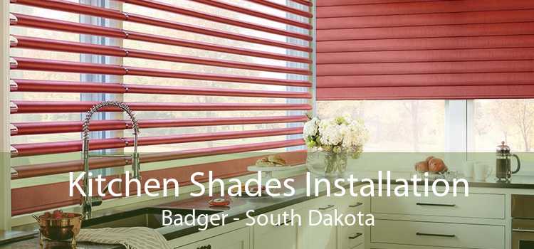 Kitchen Shades Installation Badger - South Dakota