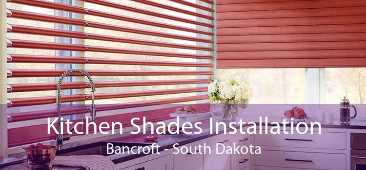 Kitchen Shades Installation Bancroft - South Dakota