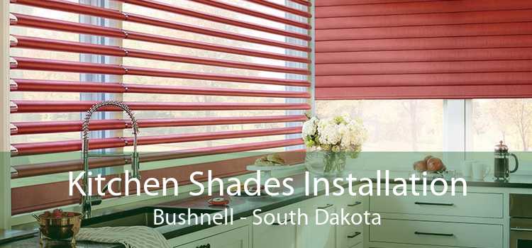 Kitchen Shades Installation Bushnell - South Dakota