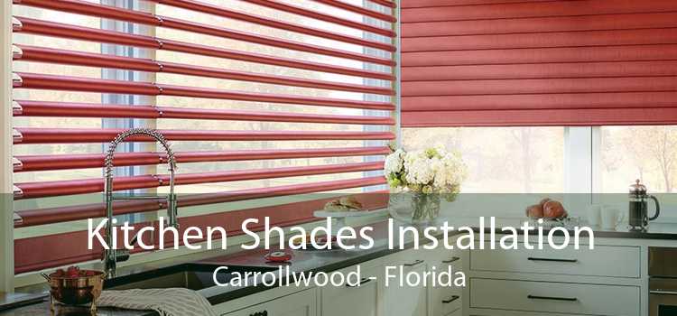 Kitchen Shades Installation Carrollwood - Florida