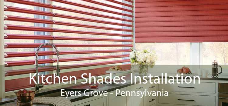 Kitchen Shades Installation Eyers Grove - Pennsylvania
