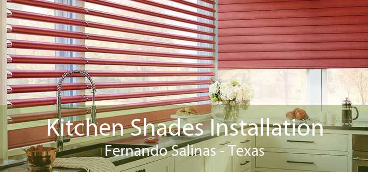 Kitchen Shades Installation Fernando Salinas - Texas