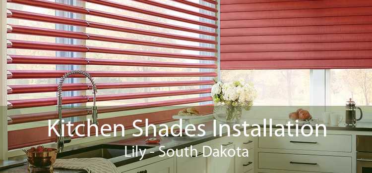 Kitchen Shades Installation Lily - South Dakota