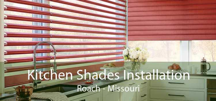 Kitchen Shades Installation Roach - Missouri