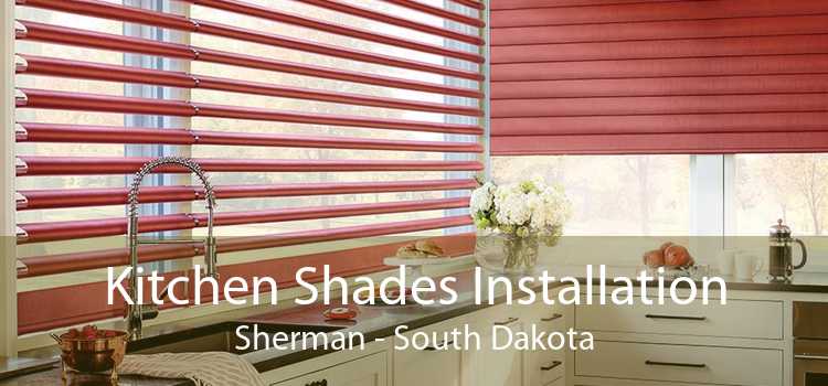 Kitchen Shades Installation Sherman - South Dakota