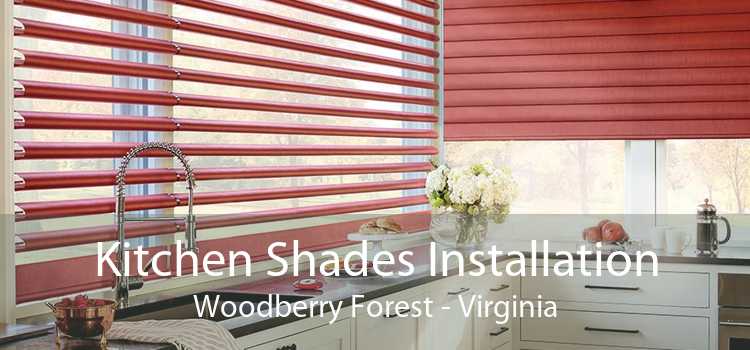 Kitchen Shades Installation Woodberry Forest - Virginia