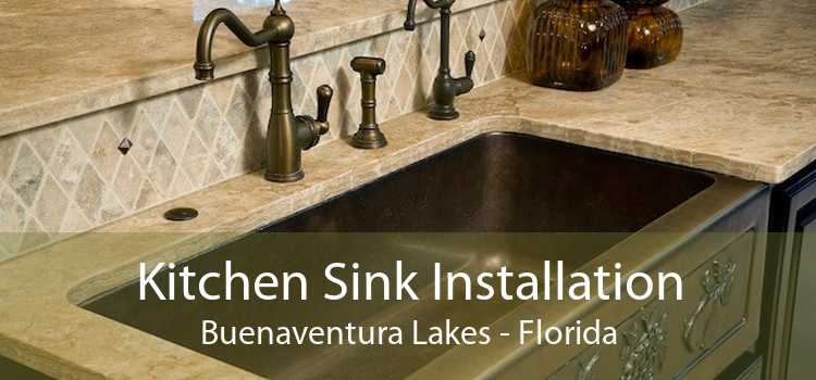 Kitchen Sink Installation Buenaventura Lakes - Florida