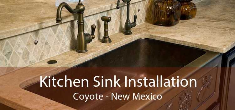 Kitchen Sink Installation Coyote - New Mexico
