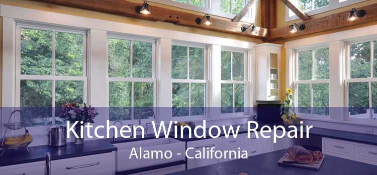 Kitchen Window Repair Alamo - California