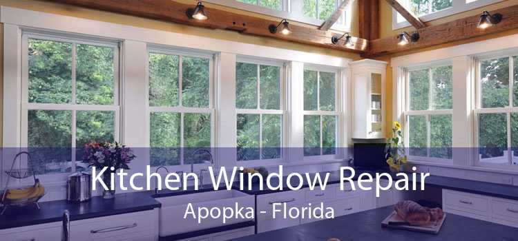 Kitchen Window Repair Apopka - Florida