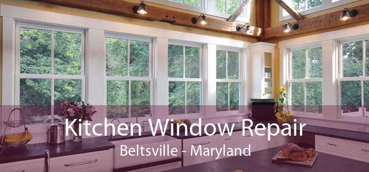 Kitchen Window Repair Beltsville - Maryland