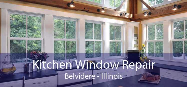 Kitchen Window Repair Belvidere - Illinois