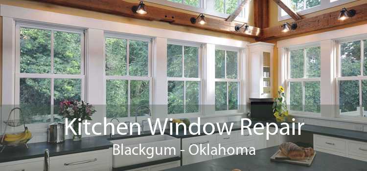 Kitchen Window Repair Blackgum - Oklahoma