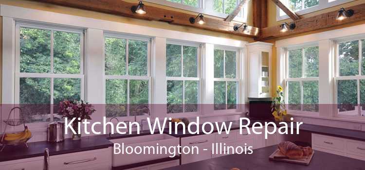Kitchen Window Repair Bloomington - Illinois