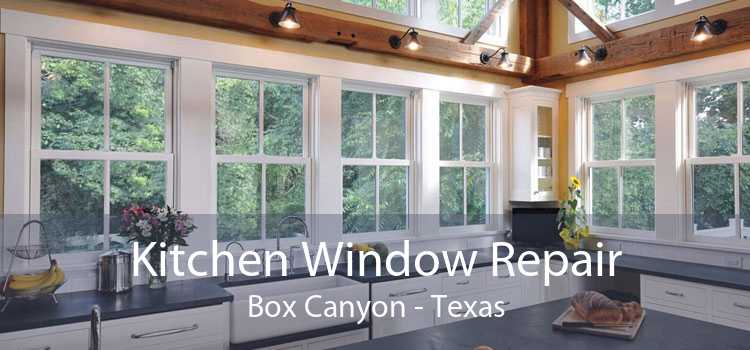 Kitchen Window Repair Box Canyon - Texas