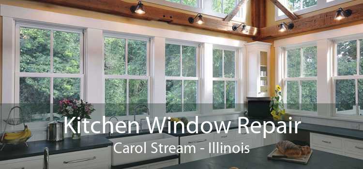 Kitchen Window Repair Carol Stream - Illinois