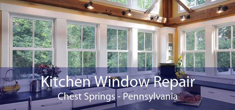 Kitchen Window Repair Chest Springs - Pennsylvania