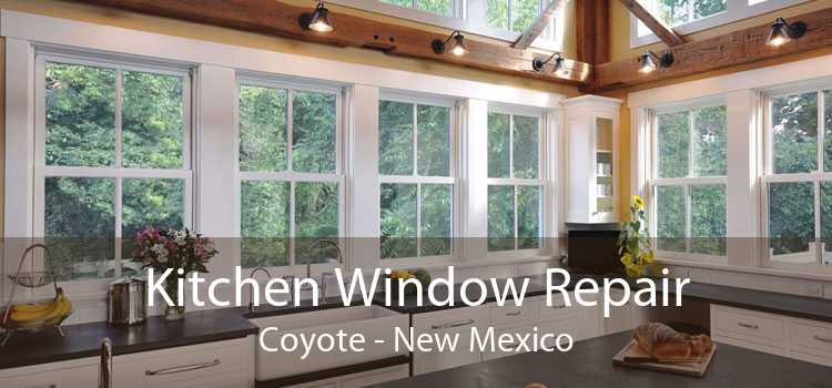 Kitchen Window Repair Coyote - New Mexico