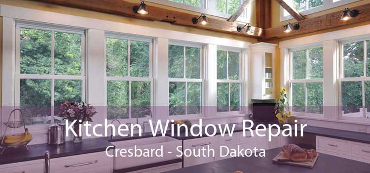 Kitchen Window Repair Cresbard - South Dakota