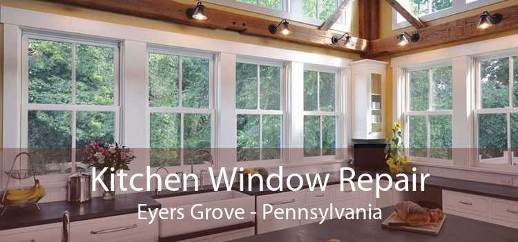 Kitchen Window Repair Eyers Grove - Pennsylvania