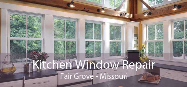 Kitchen Window Repair Fair Grove - Missouri