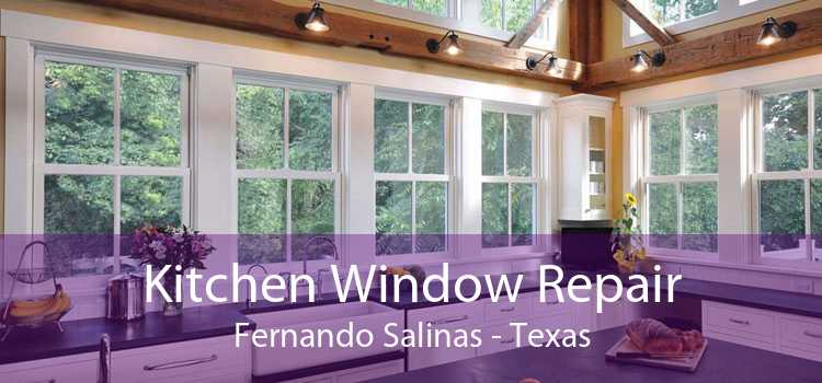 Kitchen Window Repair Fernando Salinas - Texas
