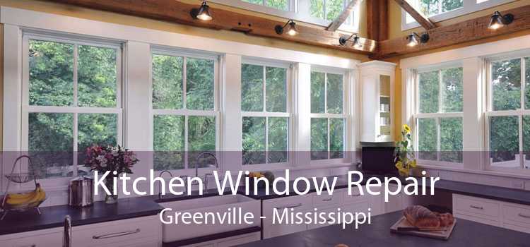 Kitchen Window Repair Greenville - Mississippi