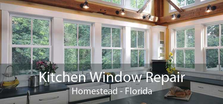 Kitchen Window Repair Homestead - Florida