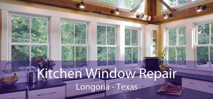 Kitchen Window Repair Longoria - Texas