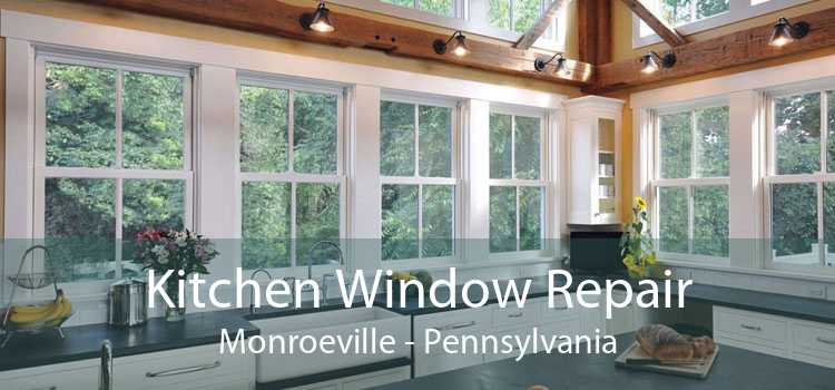 Kitchen Window Repair Monroeville - Pennsylvania