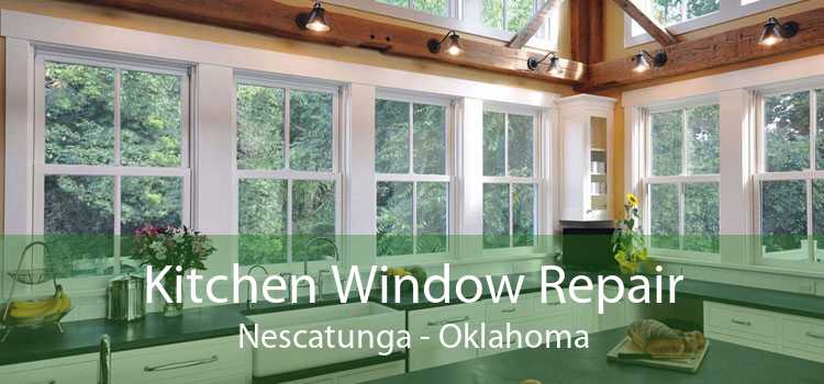 Kitchen Window Repair Nescatunga - Oklahoma
