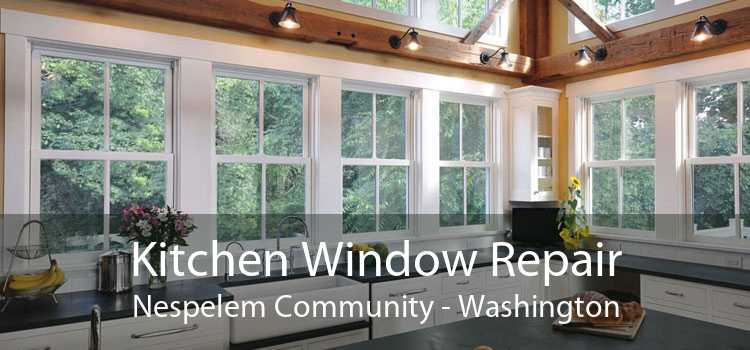 Kitchen Window Repair Nespelem Community - Washington