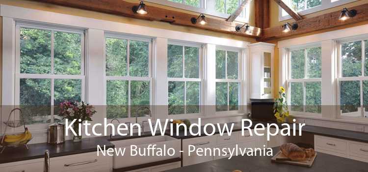 Kitchen Window Repair New Buffalo - Pennsylvania