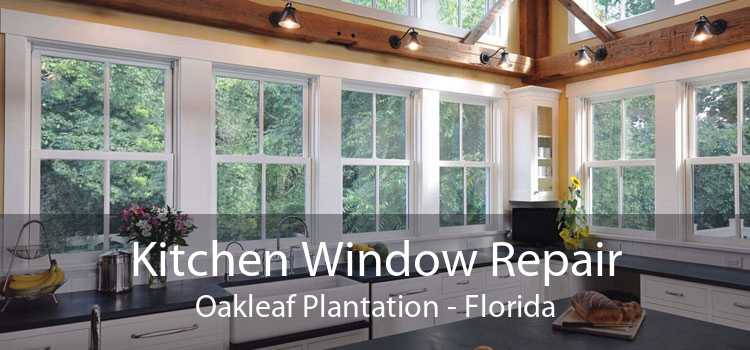 Kitchen Window Repair Oakleaf Plantation - Florida