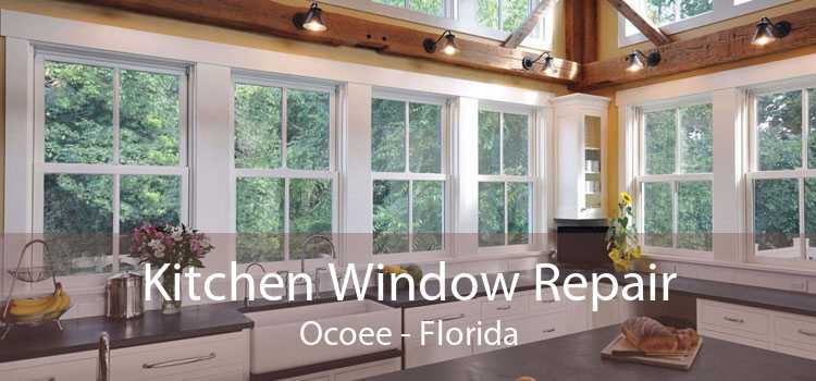 Kitchen Window Repair Ocoee - Florida