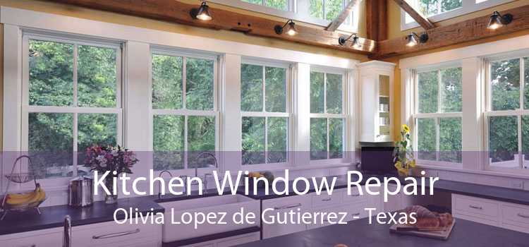 Kitchen Window Repair Olivia Lopez de Gutierrez - Texas