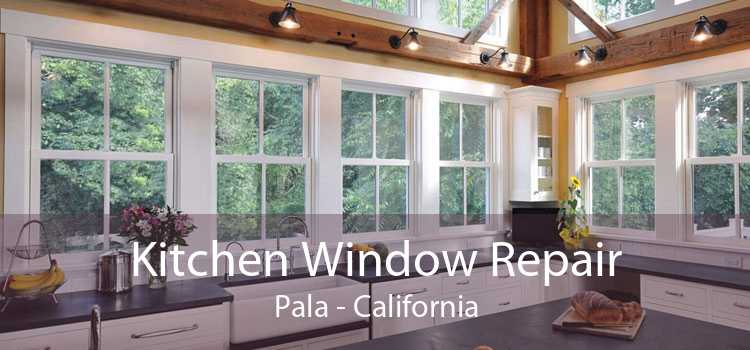 Kitchen Window Repair Pala - California
