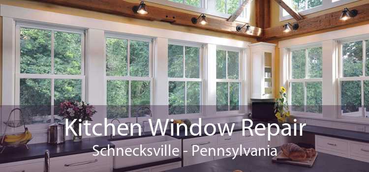 Kitchen Window Repair Schnecksville - Pennsylvania