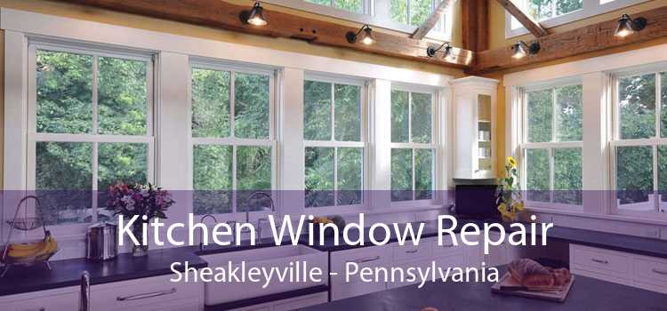 Kitchen Window Repair Sheakleyville - Pennsylvania