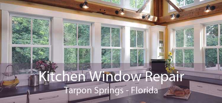 Kitchen Window Repair Tarpon Springs - Florida